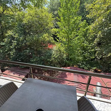 Pinar Hotel Koycegiz (Mugla)
